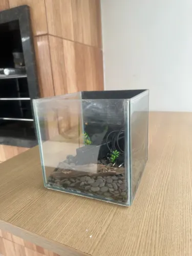 Aquário cubo 10 litros