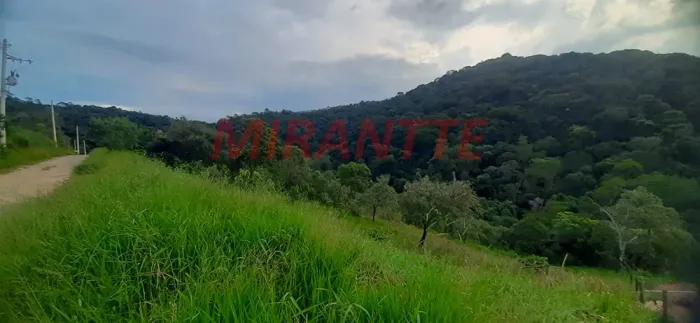 Terreno em Serra da Cantareira
