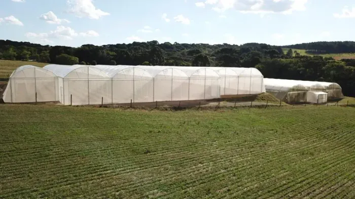 Chácara para venda tem 30.250 metros quadrados - Lapa - PR