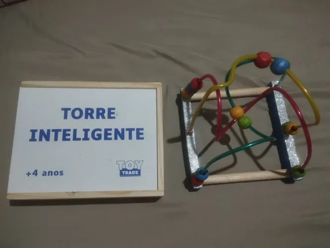 Brinquedos didático 
