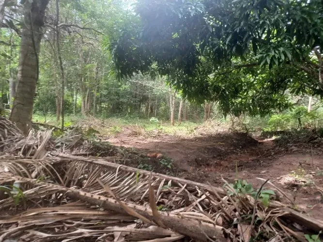 Terreno na serra da Meruoca. 800m²