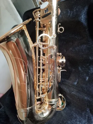 Saxofone Wogga zerado