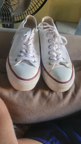 Tenis