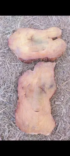 Bolachas de jaqueira