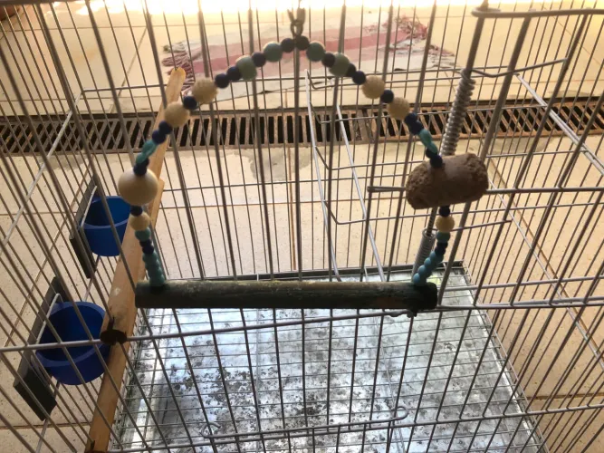 Gaiola de calopsita Grande