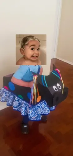 Bumba Meu Boi Artesanal ?
