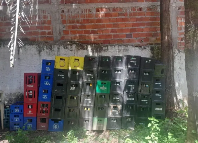 VENDO 50 ENGRADADOS 