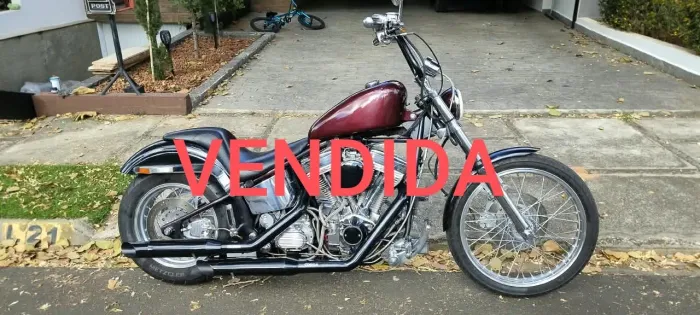 Harley Davidson Softail RevTech Carburada