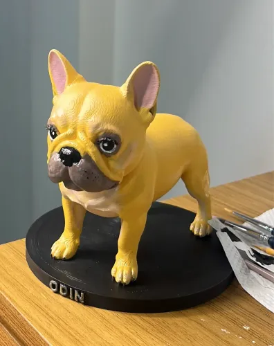 Faça seu pet