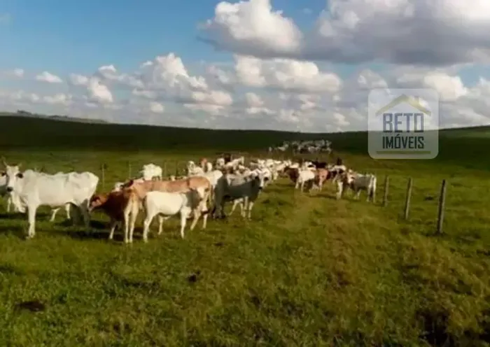 Fazenda/Sítio/Chácara para venda com 10600000 metros quadrados em Alvorada - Araxá - MG