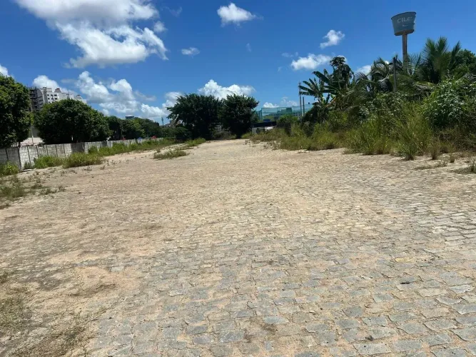 ALUGA-SE ÁREA COMERCIAL 4.000 m² Rodovia Menino Marcelo