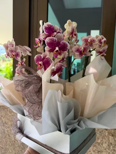 Linda caixa de orquídea 