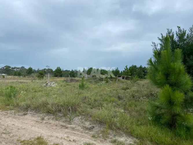 Terreno na Praia Tupinambá em Torres RS