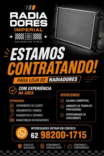 MECÂNICO PARA LOJA DE RADIADOR