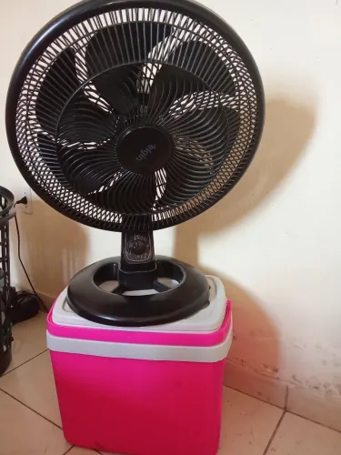 Vendo Ventilador E Caixa Térmica