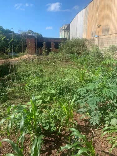 Oportunidade Incrível em Águas Maravilhosas: Terreno em Região de Alta Valorização!