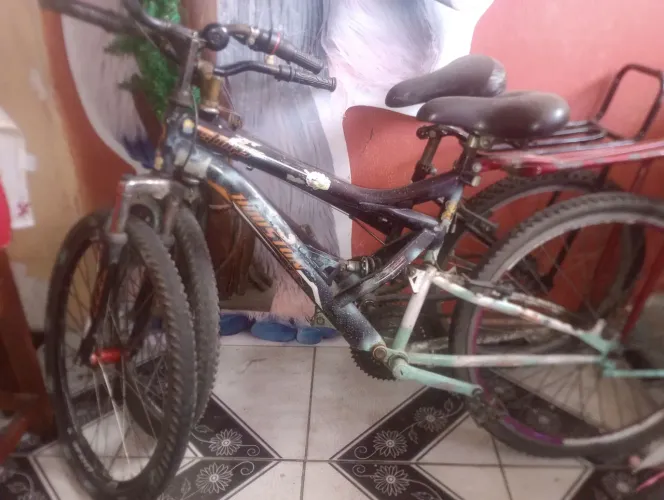 Bicicleta
