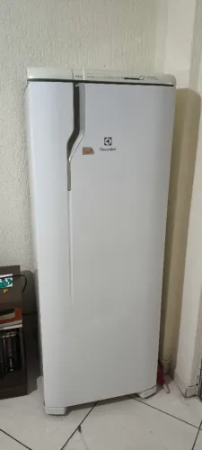 Electrolux rfe39 frost free