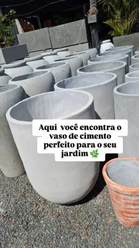 Vasos