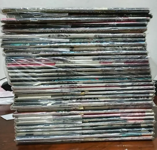 Lote coleção hq Vertigo mensal - Panini