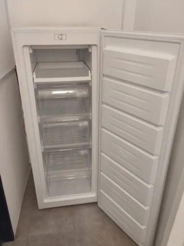  Freezer Vertical Eos 168 Litros Ecogelo Efv200 220v 