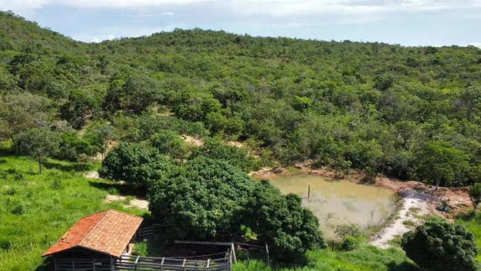 Fazenda em Três Marias 134 hectares