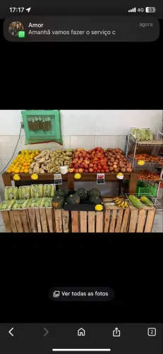 Fruteira de Madeira com inclinação 