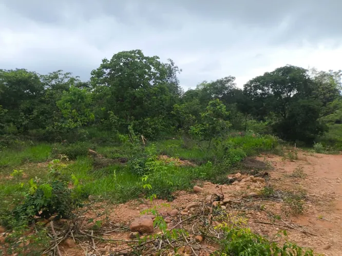 Terreno em condomínio fechado a 3 km da ponte do grego de 50.000 por 42.500