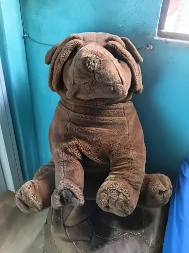 Cachorro pelucia