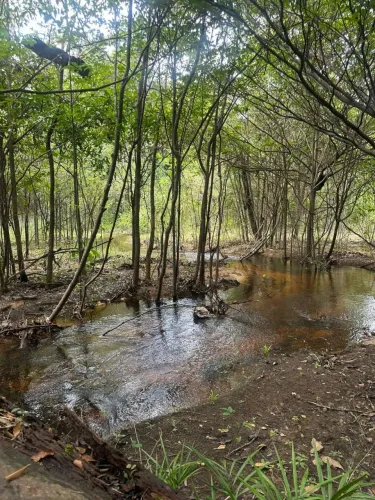 Terreno fundo igarapé