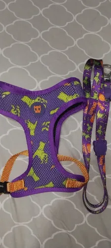 Kit Zeedog Zombie - Edição Super Limitada Haloween