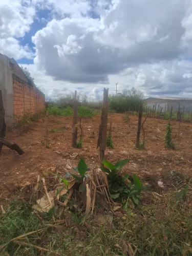 Lote parque do bosque 