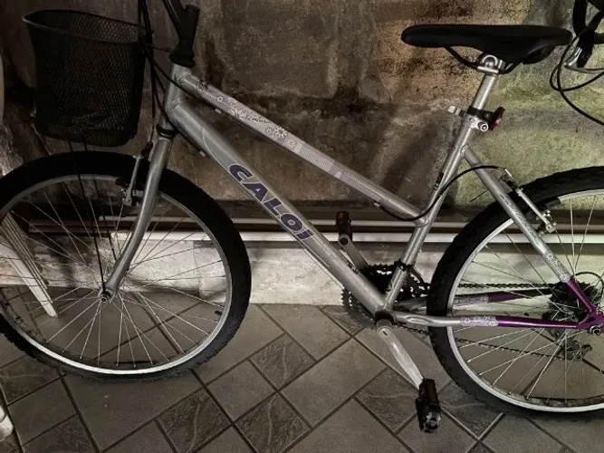 bicicleta Cestinha Cecezinha estilo Retrô