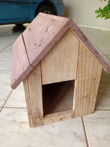 Casinha pet