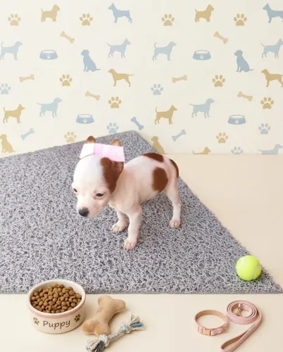 Criação com amor e carinho