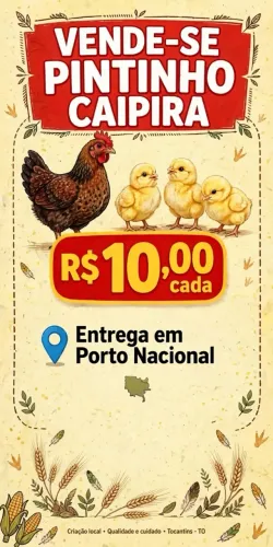 Pintinho Caipira
