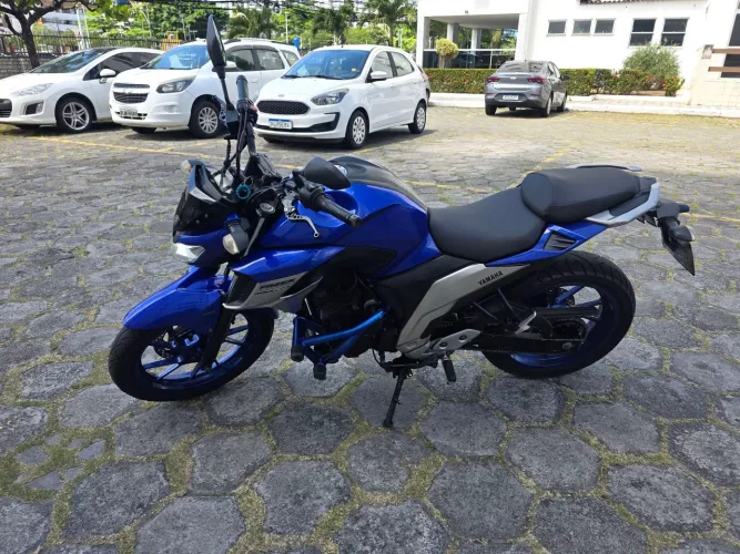 FZ 25 2021