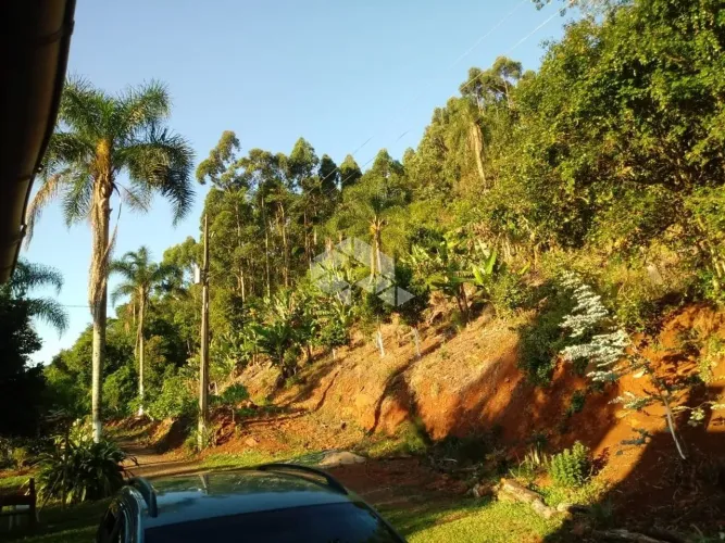 Chácara com 5 hectares no Morro da Canastra em Farroupilha com casa, árvores frutíferas, á