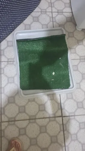 Banheiro sanitário canino com grama sintética