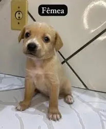 Doação