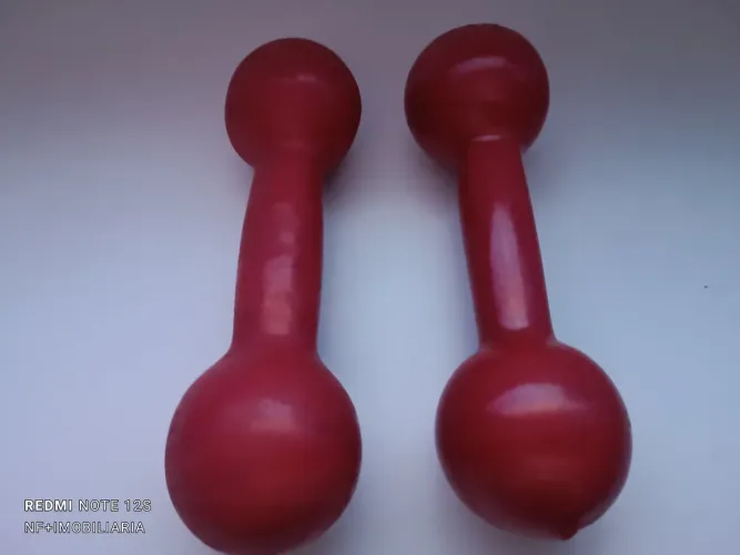 02 Halteres de 1Kg cada - Emborrachados, Novo