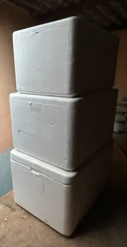 Caixa de Isopor Grande