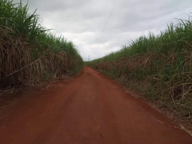 Sítio 15 ha em Aparecida de Minas - MG