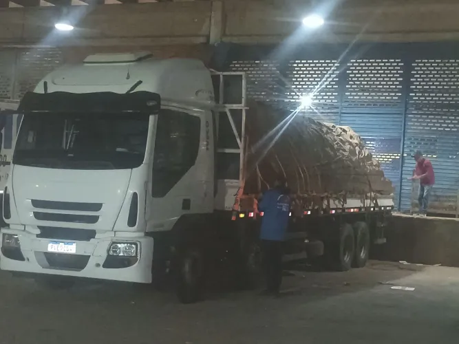 Iveco tector 