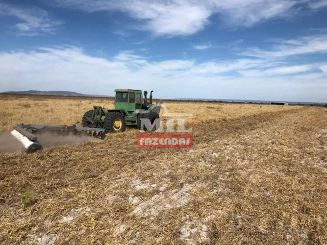FAZENDA P/ LAVOURA EM ARINOS/MG. (12.130 HECTARES)