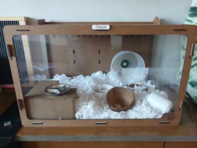 Hamster com terrario