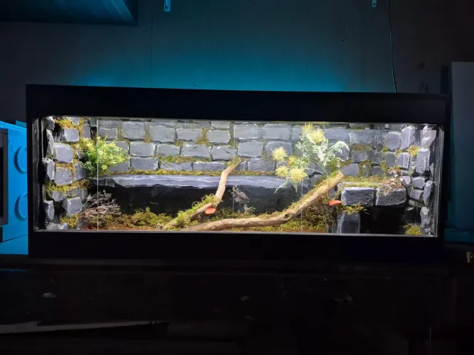 Terrários Projetados 