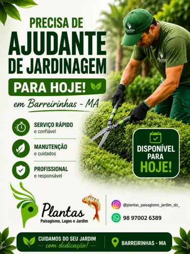 preciso de ajudante de jardinagem
