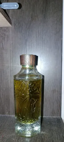 Vendo semi novo