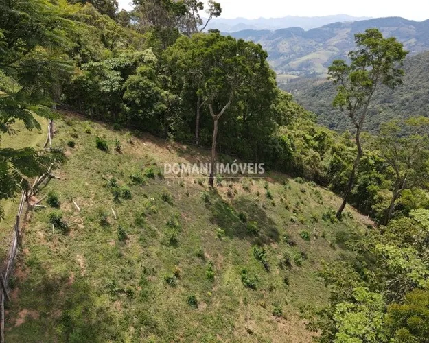 Lindo Terreno à Venda na Região do Alpes de Campos do Jordão - Campos do Jordão/SP